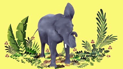 Animal Songs Dance with the Elephant,  by Hello Channel