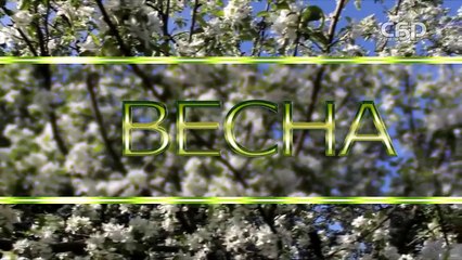 Прогноз погода на 01 03 2016 года