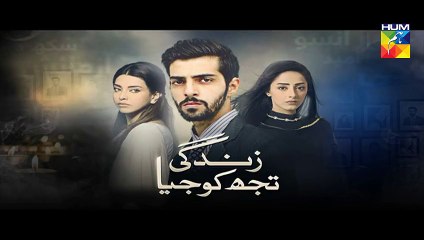 Zindagi Tujh Ko Jiya Episode 14 Promo HUM TV Drama 14 Mar 2016