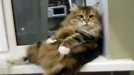 Весна — займусь спортом и начну с разминки пузика