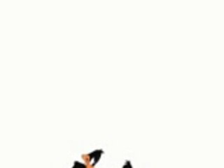 Looney Tunes : Duck Amuck