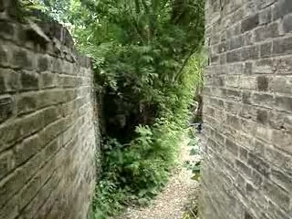 MOV00340