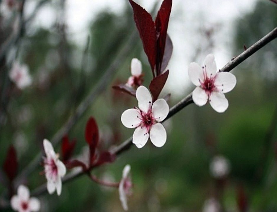 신천지게임 ぢ【♧】SDSD9。COM【♧】태광카지노