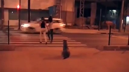 Lütfen 2 Kıza ve Köpeğe Dikkat.. Şaşıracaksınız! Yok Böyle B