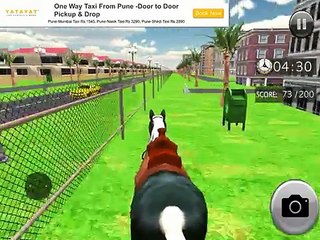 Wild Pony Horse Simulator - Game to Enjoy in Real City Environment iOS Gameplay