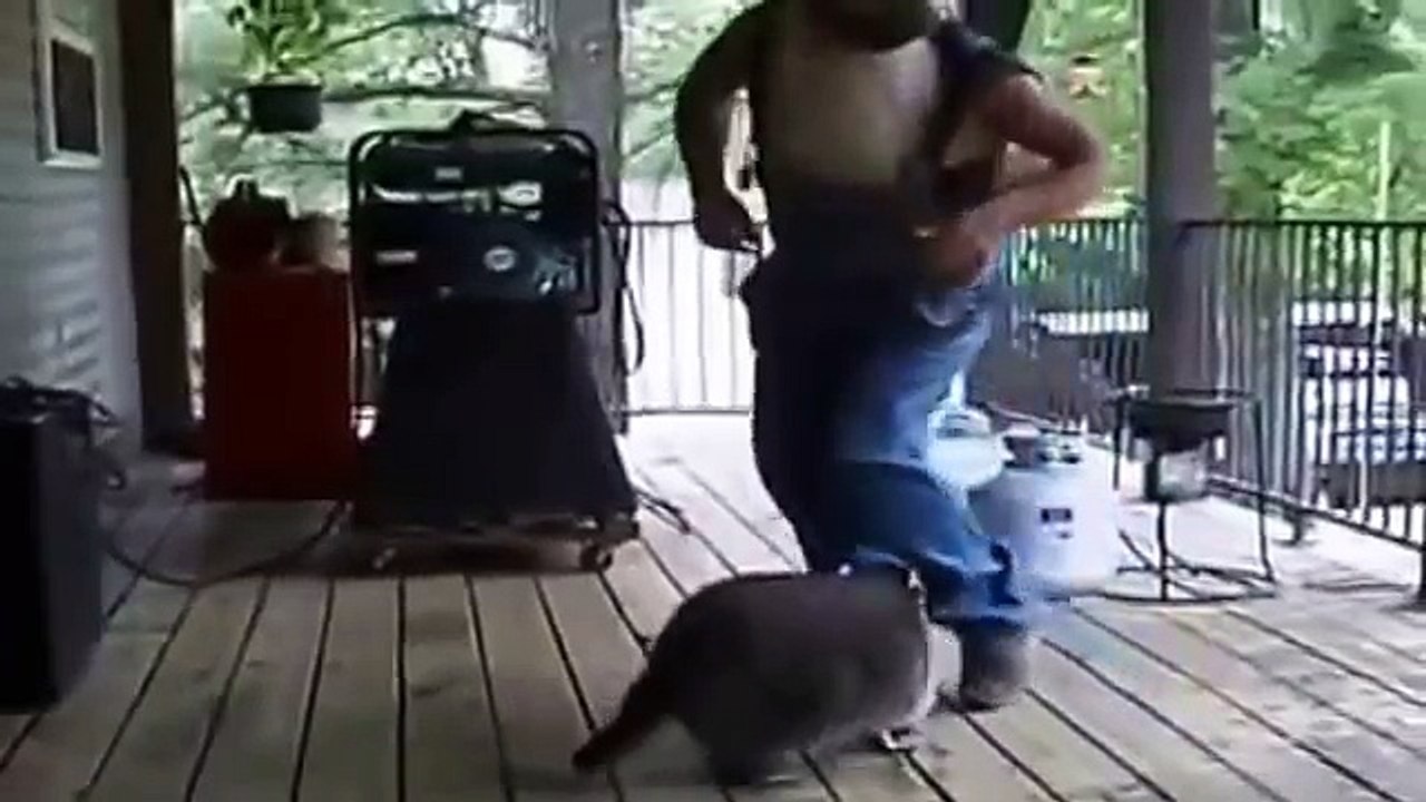Танцор енот