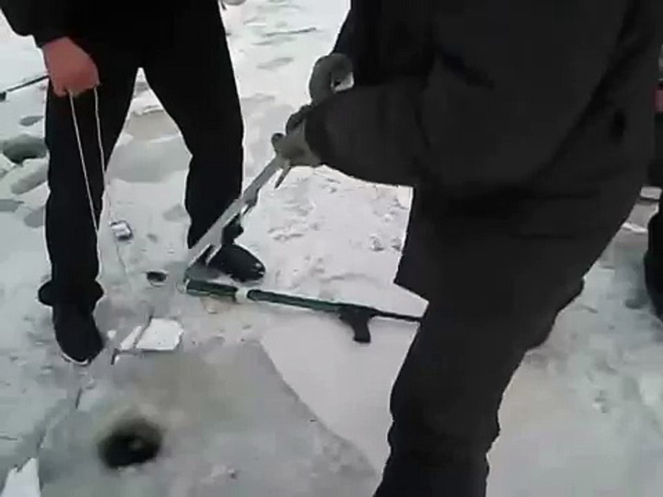 ТОлстолоб зимой