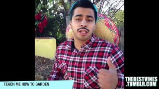 Ultimate David Lopez Vine Compilation - All David Lopez Juan Vines - Best Vines - VineADD