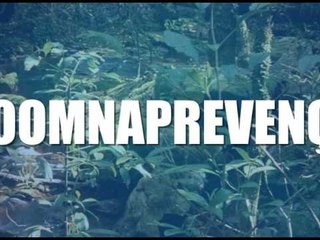 01-03-2016 - RISCO DE FOCO DO AEDES AEGYPTI EM MURY - ZOOM TV JORNAL