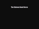 Read The Sixteen Hand Horse Ebook Free