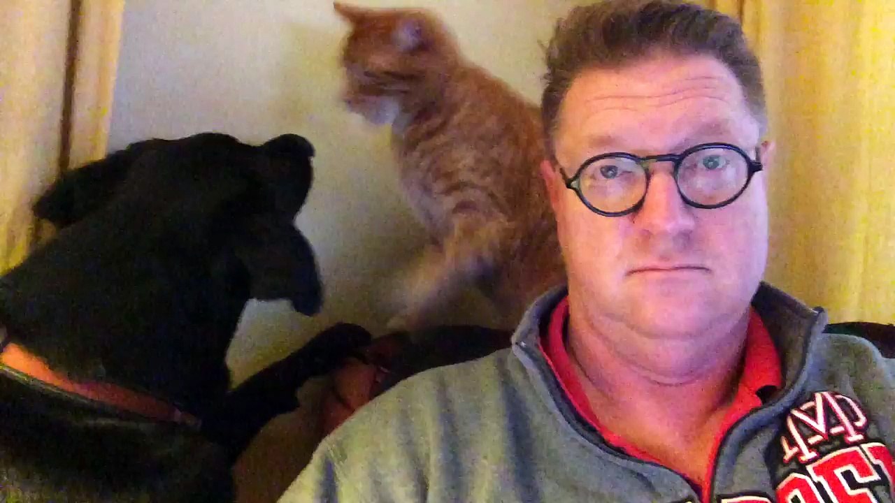 Il se filme avec son chat et son chien qui se chamaillent... Pire que des gamins