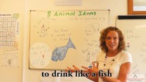 Animal Idioms, Learn English Idioms - British idioms