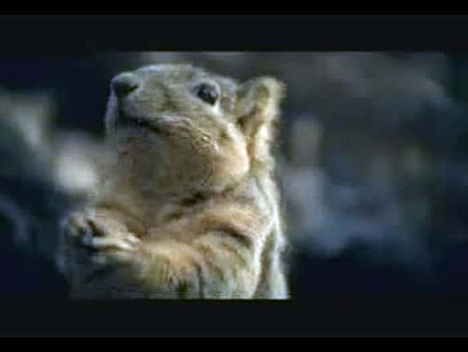 Bridgestone Commercial