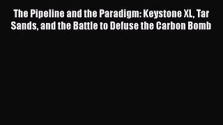 Read The Pipeline and the Paradigm: Keystone XL Tar Sands and the Battle to Defuse the Carbon