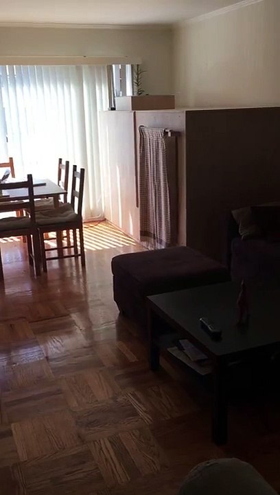 500$ par mois pour louer une boite en bois dans...