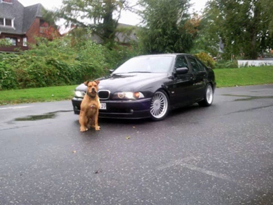 Alpina D10 E39 BiTurbo Drift    $ Rendsburg IMO-Wash $