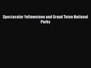 Download Spectacular Yellowstone and Grand Teton National Parks  EBook