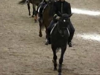 Cadre Noir de Saumur