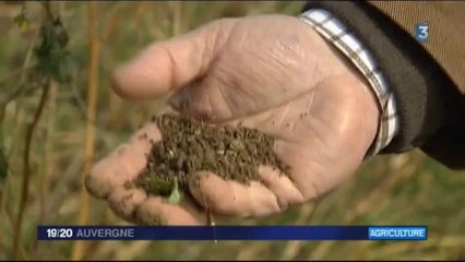 Agriculture moderne, agriculture sans labour (France3 Auvergne 16.3.2016)