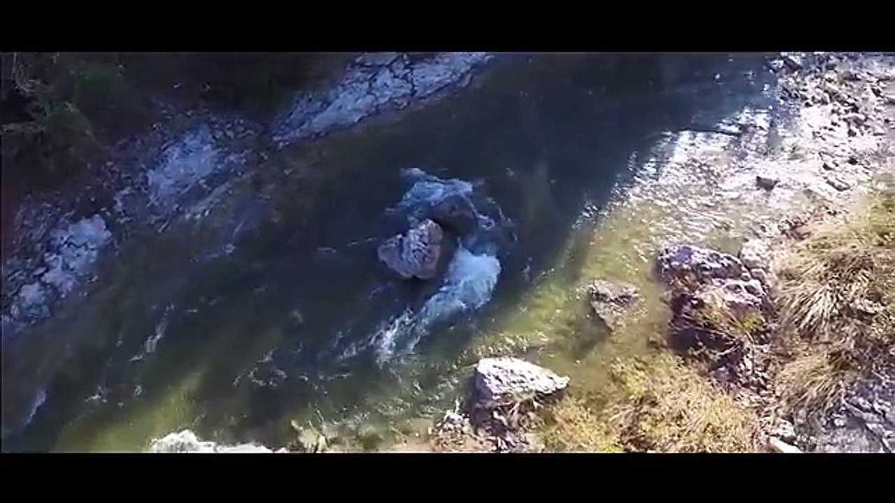 INFOWARS Nightly News Jakari Jackson Special Reports 2