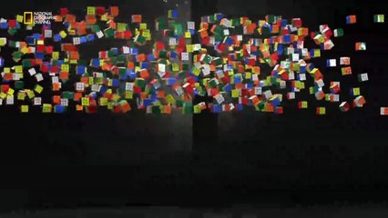 Zihin Oyunları - Sol ve Sağ