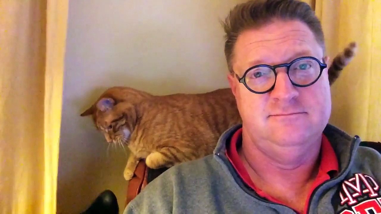 mon chat et chien n