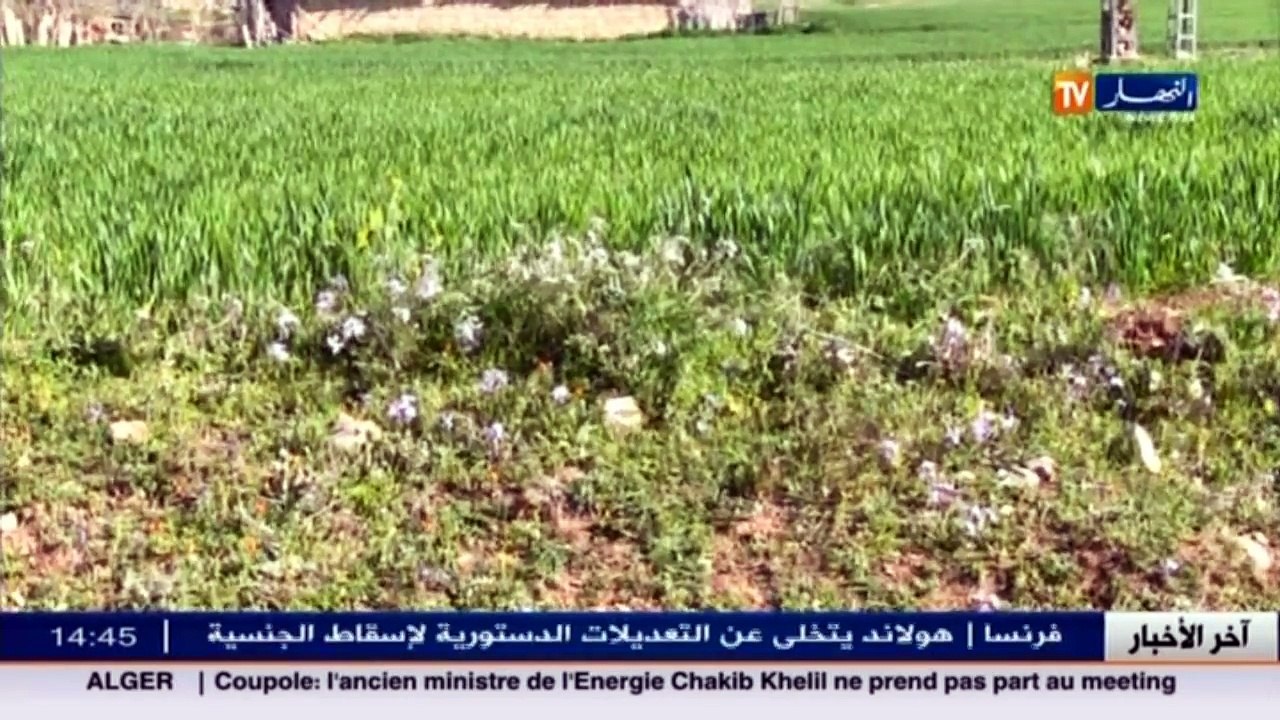 الأخبار المحلية   أخبار الجزائر العميقة ليوم ال...