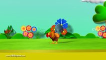 Learn English Birds Names - 3D Animation Preschool Nursery rhymes for children