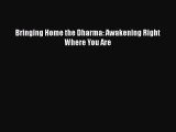 PDF Bringing Home the Dharma: Awakening Right Where You Are  Read Online