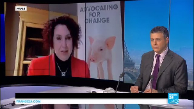 You can't have cheap meat in large quantities and believe that it's produced humanely Elena Nalon