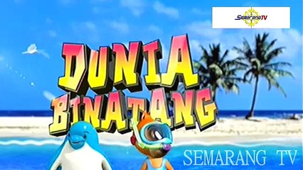 Dunia Binatang - Macem Buaya 31 Maret 2016