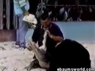 Man Entering his face in crocodile Mouth