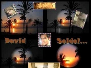 Lisa et david une histoire d'amour magnifique