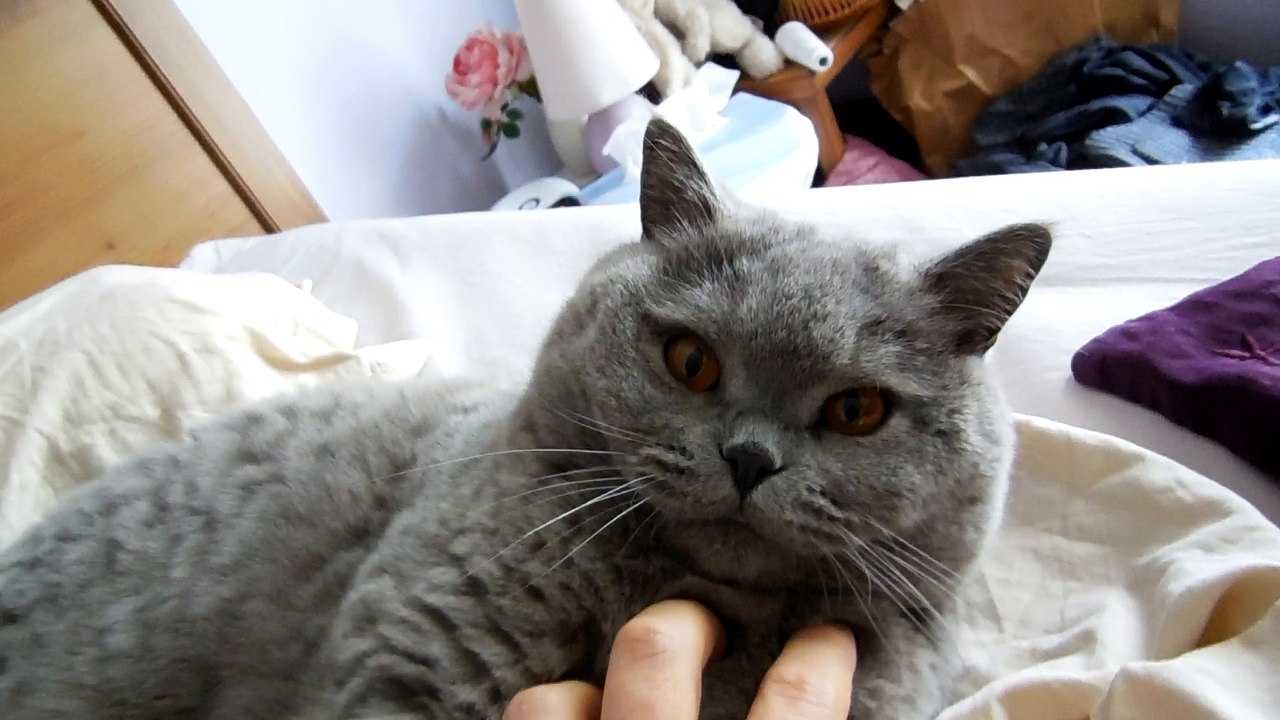 DSCN0149