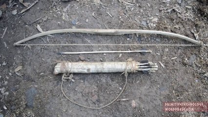 Bow and Arrow (Primitive Technology )