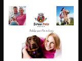 professional pet sitters in hollywood florida | florida  pet sitting  | professsional pet care