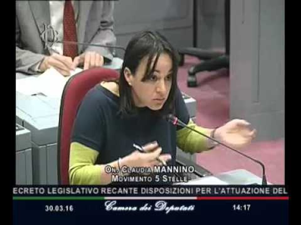 Roma - Appalti e contratti pubblici, audizione Delrio (30.03.16)