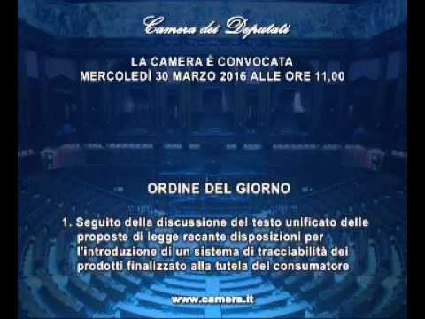 Roma - Camera - 17^ Legislatura - 598^ seduta (30.03.16)