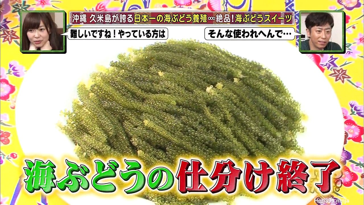 HKT48 no Odekake! ep160 160330