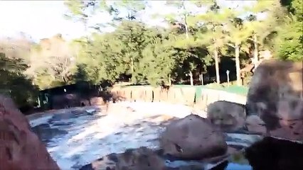 Visitez un parc Disney abandonné depuis 15 ans