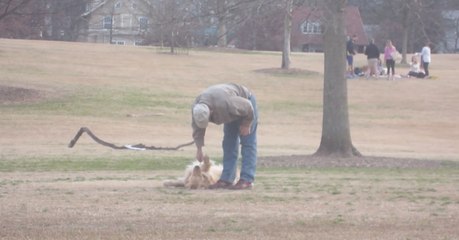 Golden Retriever usa método genial para dono não o tirar do parque