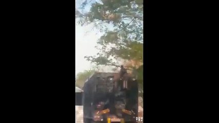 Télécharger la video: Monter sur un camion en marche pour voler des poulets... voleur courageux