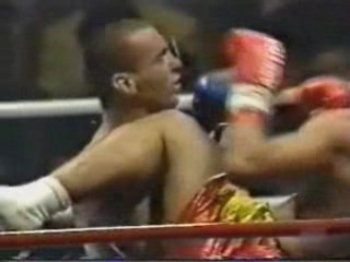 Andy Hug vs Stefan Leko K-1