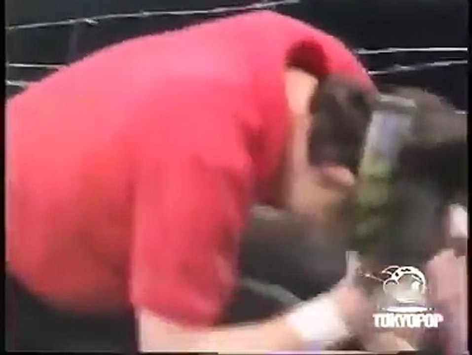amazing fight of woman