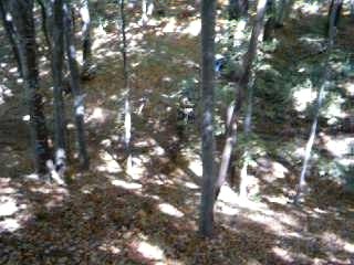Enduro juin 2006 028