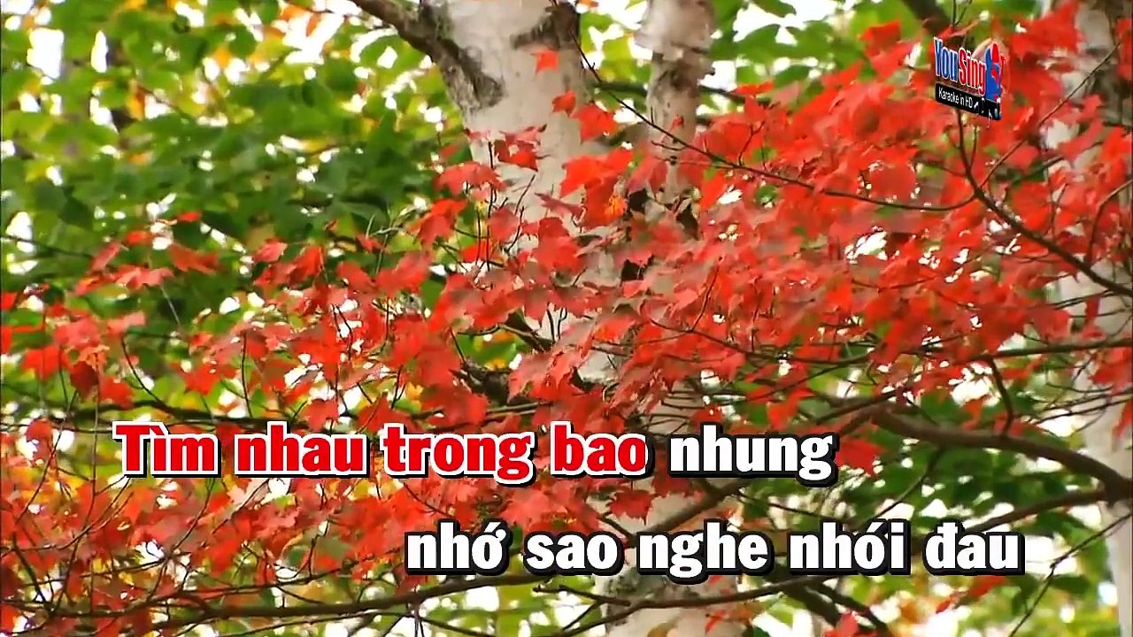 ( Karaoke ) Nếu Như Ngày Đó - Lệ Quyên - beat gốc - andykaraoke.website