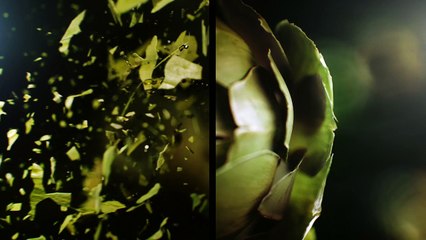 Nothing in this video is real. It's 100% CGI