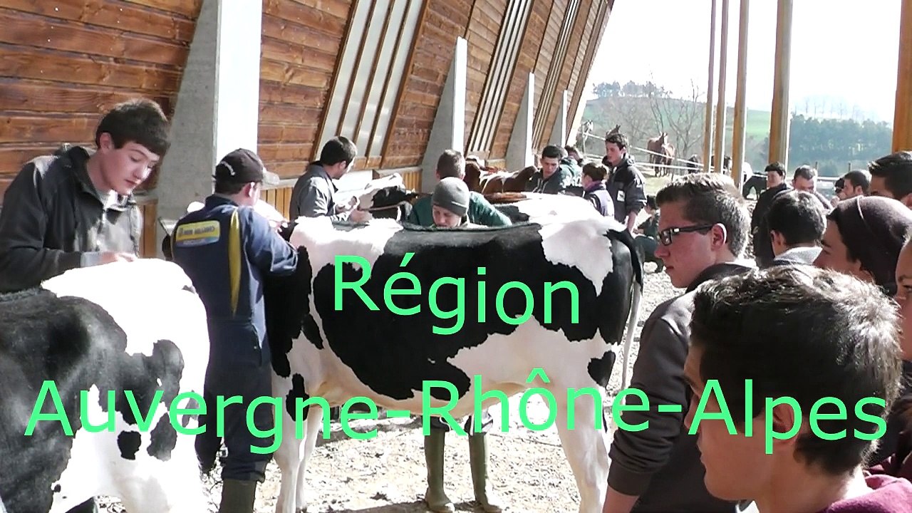 Challenge Inter-lycees de jeunes meneurs 2016