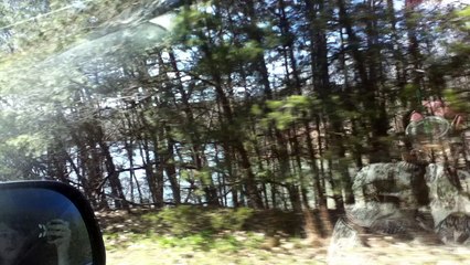 Z57 presents Blocked By Trees