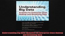 Understanding Big Data Analytics for Enterprise Class Hadoop and Streaming Data